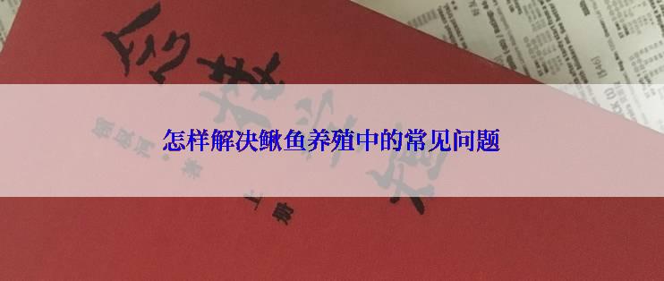 怎样解决鳅鱼养殖中的常见问题