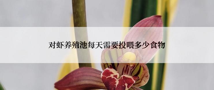 对虾养殖池每天需要投喂多少食物