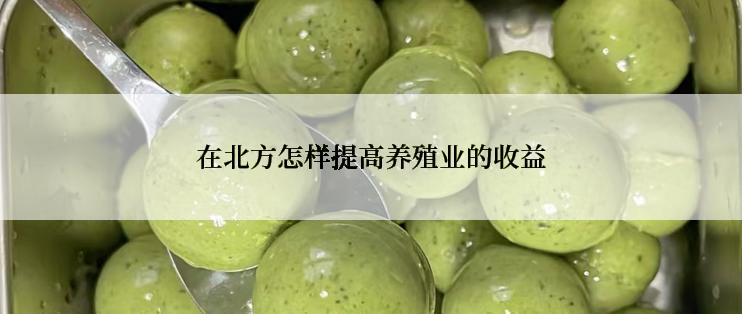 在北方怎样提高养殖业的收益