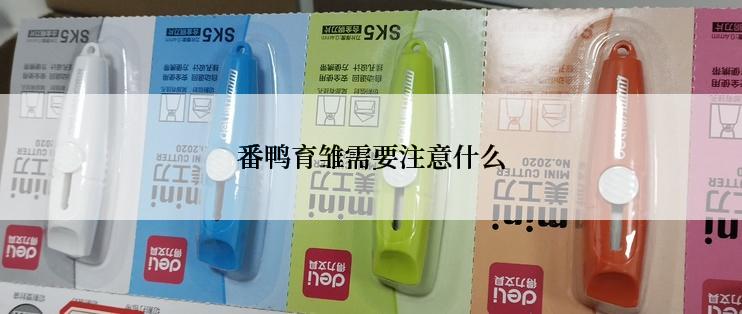 番鸭育雏需要注意什么