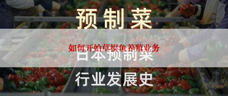 如何开始草根鱼养殖业务