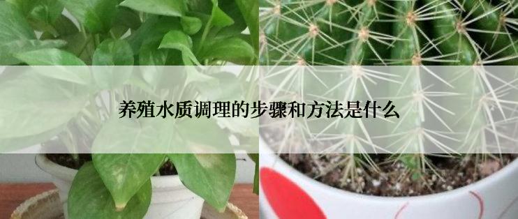 养殖水质调理的步骤和方法是什么