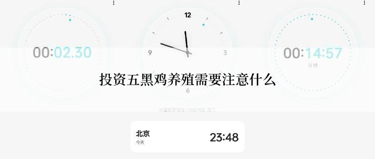 投资五黑鸡养殖需要注意什么