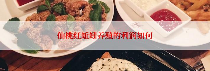 仙桃红蚯蚓养殖的利润如何