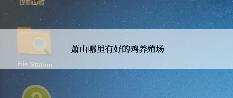  萧山哪里有好的鸡养殖场