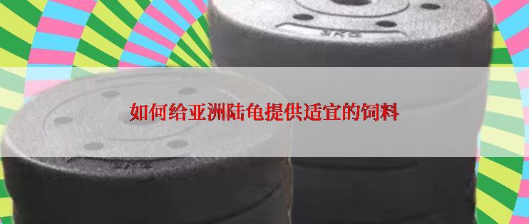 如何给亚洲陆龟提供适宜的饲料