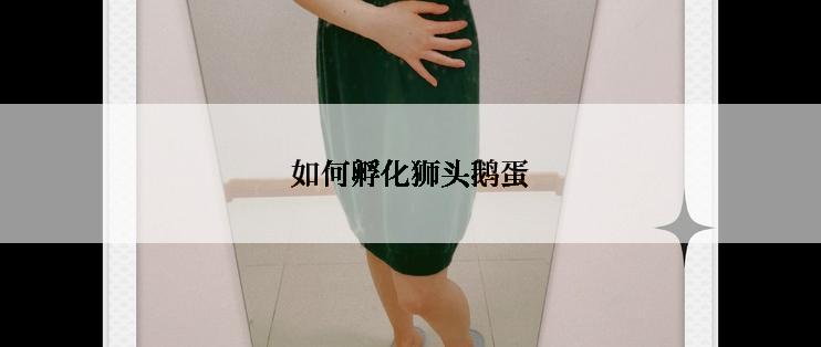 如何孵化狮头鹅蛋