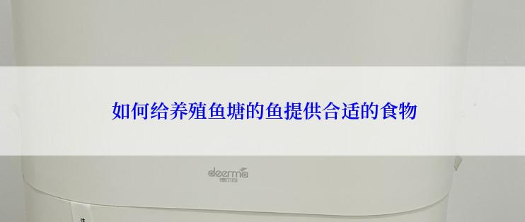  如何给养殖鱼塘的鱼提供合适的食物