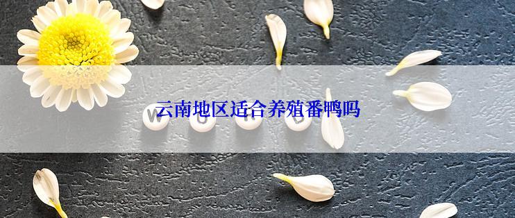 云南地区适合养殖番鸭吗