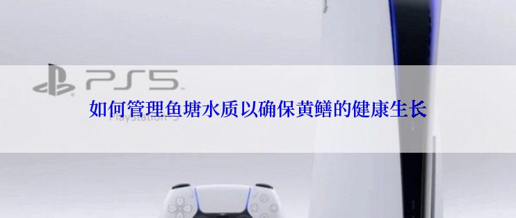 如何管理鱼塘水质以确保黄鳝的健康生长