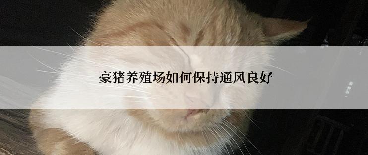  豪猪养殖场如何保持通风良好