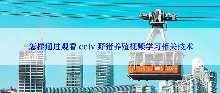  怎样通过观看 cctv 野猪养殖视频学习相关技术