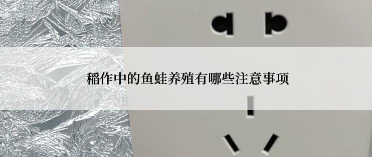  稲作中的鱼蛙养殖有哪些注意事项