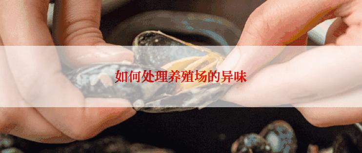 如何处理养殖场的异味