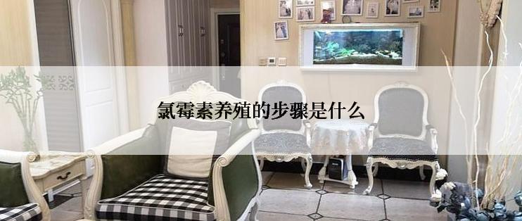 氯霉素养殖的步骤是什么