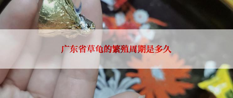 广东省草龟的繁殖周期是多久