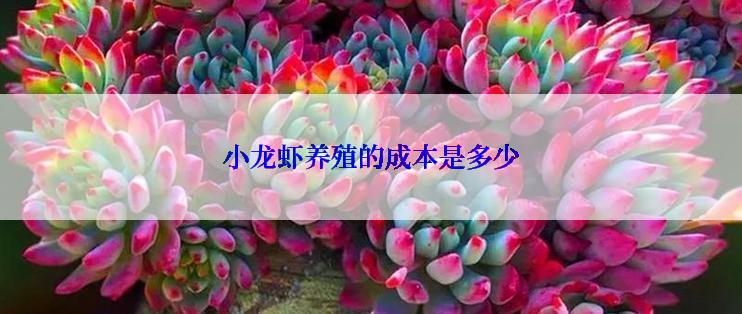 小龙虾养殖的成本是多少