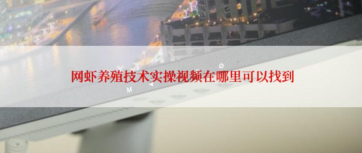  网虾养殖技术实操视频在哪里可以找到