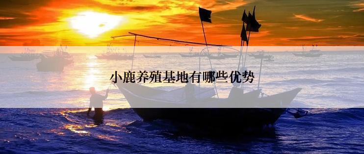 小鹿养殖基地有哪些优势