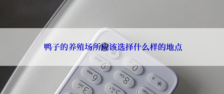  鸭子的养殖场所应该选择什么样的地点