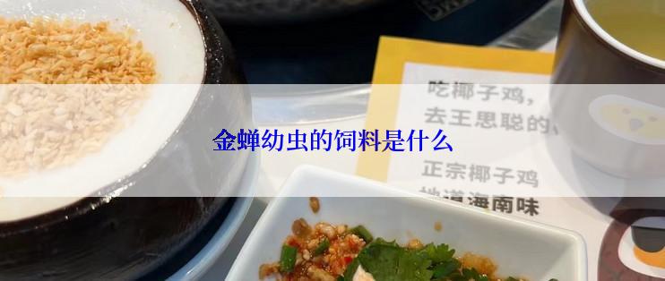 金蝉幼虫的饲料是什么