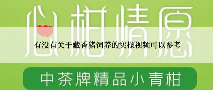  有没有关于藏香猪饲养的实操视频可以参考