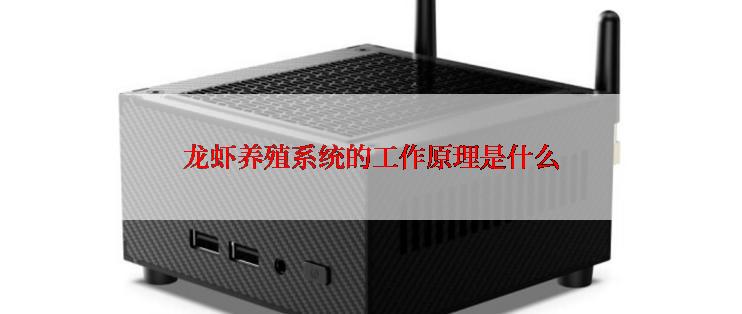 龙虾养殖系统的工作原理是什么