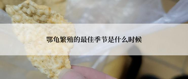 鄂龟繁殖的最佳季节是什么时候