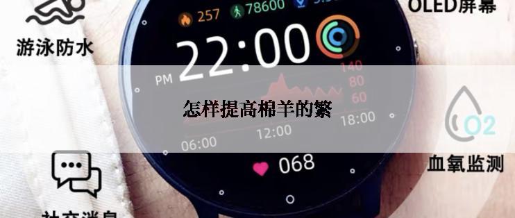 怎样提高棉羊的繁