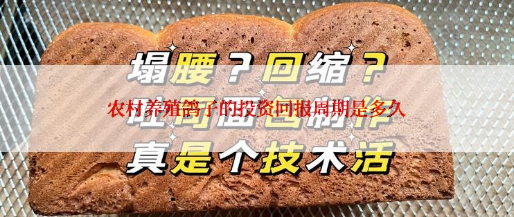 农村养殖鸽子的投资回报周期是多久