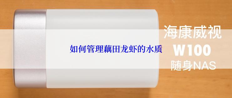 如何管理藕田龙虾的水质