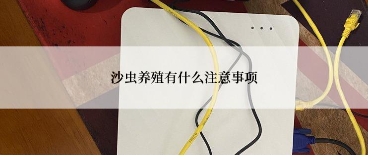 沙虫养殖有什么注意事项