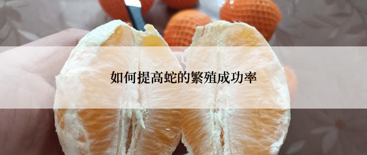 如何提高蛇的繁殖成功率