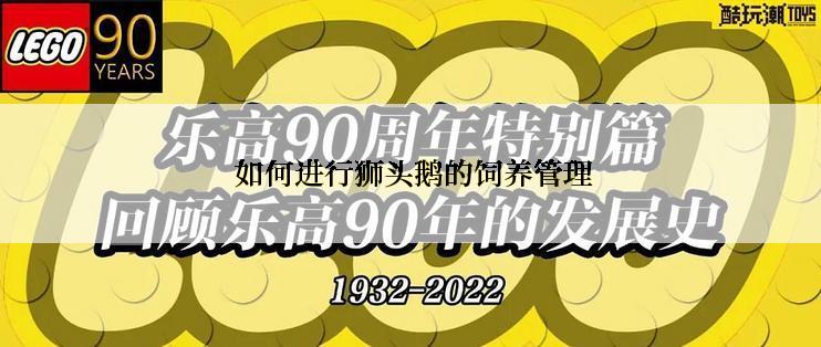  如何进行狮头鹅的饲养管理