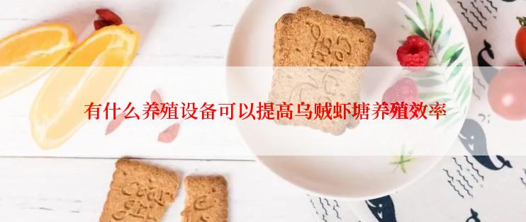  有什么养殖设备可以提高乌贼虾塘养殖效率