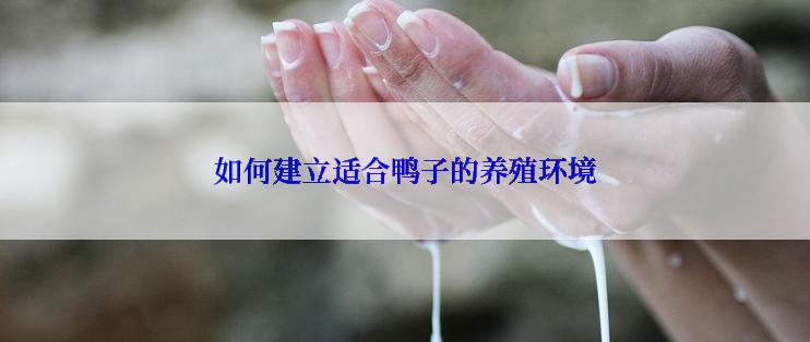 如何建立适合鸭子的养殖环境