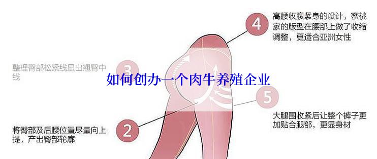 如何创办一个肉牛养殖企业