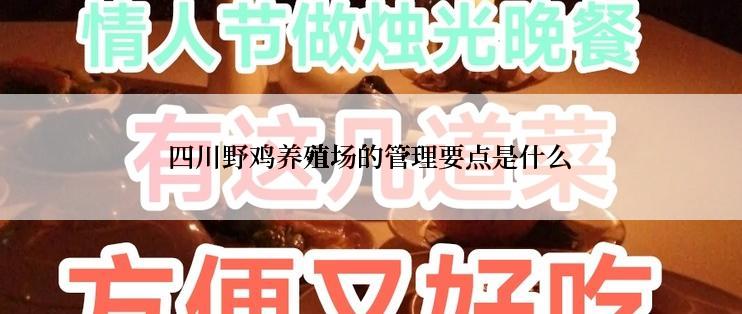 四川野鸡养殖场的管理要点是什么