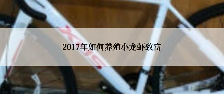 2017年如何养殖小龙虾致富