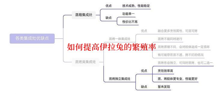 如何提高伊拉兔的繁殖率