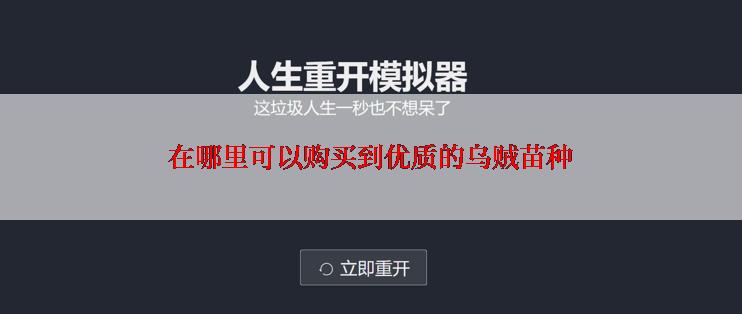 在哪里可以购买到优质的乌贼苗种