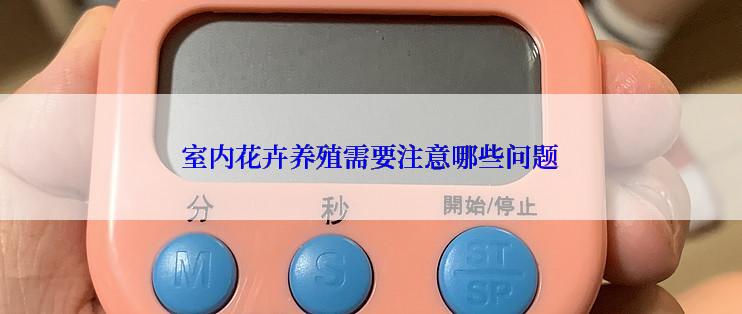 室内花卉养殖需要注意哪些问题