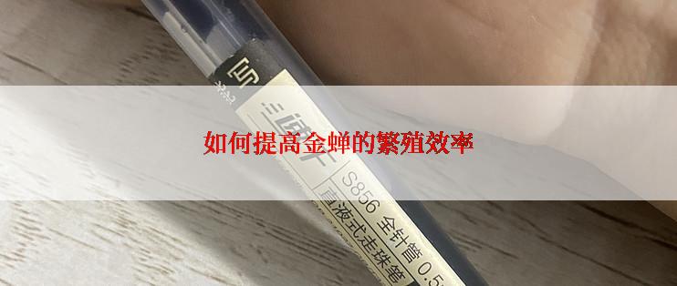 如何提高金蝉的繁殖效率