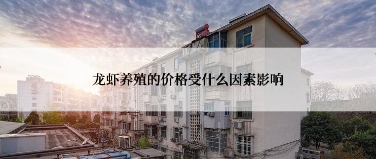 龙虾养殖的价格受什么因素影响