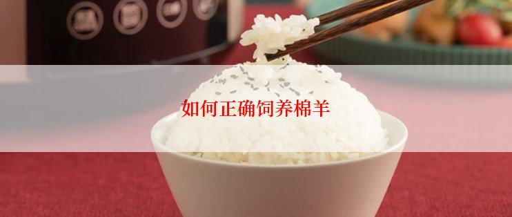 如何正确饲养棉羊