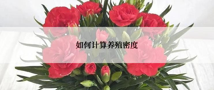 如何计算养殖密度