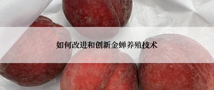 如何改进和创新金蝉养殖技术