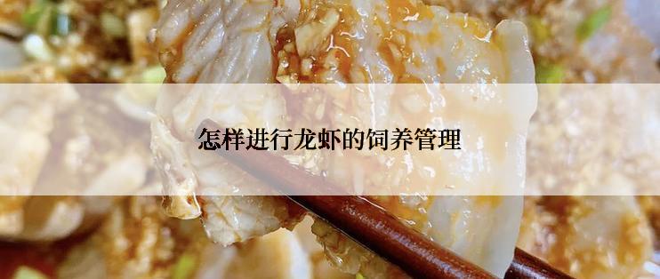 怎样进行龙虾的饲养管理