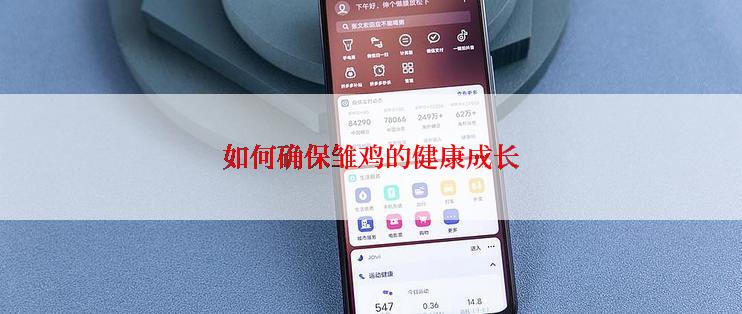 如何确保雏鸡的健康成长