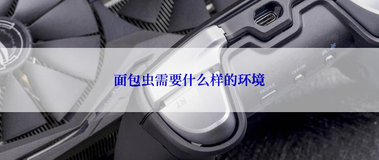 面包虫需要什么样的环境